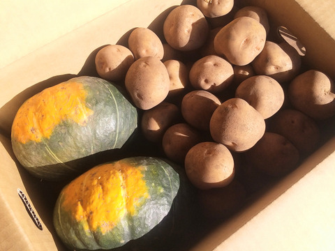 【北海道十勝産】かぼちゃ2玉とじゃがいも（キタアカリ）5kgのセット