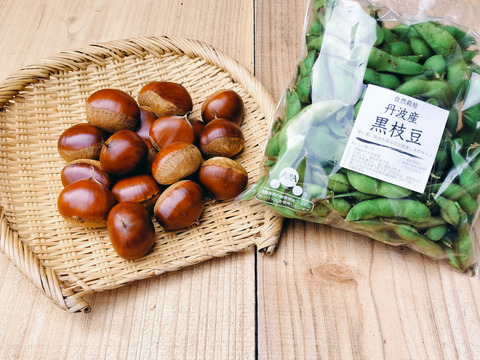 自然栽培　丹波産『黒枝豆』と『丹波栗（中粒）』500ｇセット