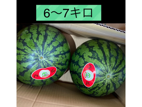 スイカ 中サイズ6個　約7キロ 農家直送、大玉スイカ6〜7キロ！2玉入り：神奈川県産のその他