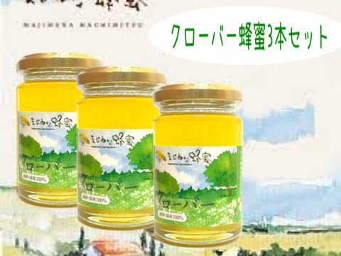 食べチョク特別価格！国産非加熱クローバー蜂蜜(160g)×3ヶセット