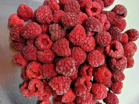 長野県産真空パック入り冷凍ラズベリー１㎏