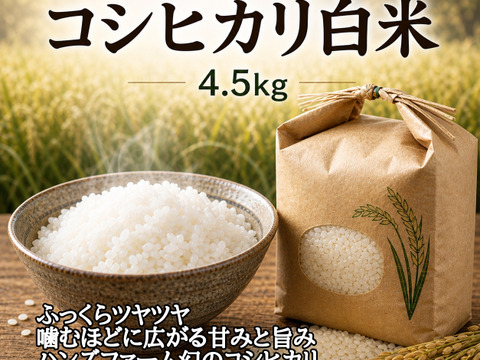 栽培期間中農薬不使用!! 京丹後産『コシヒカリ』白米4.5kg