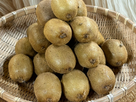 [送料500円引]甘くて美味しいキウイフルーツ 4kg 小サイズ