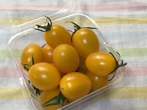 【　山の都からお届け！ジューシーカラフルミニトマト 1kgバラ　】
