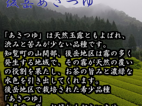 【後岳あさつゆ】 かごしま知覧茶　後岳あさつゆ　1袋100g　鹿児島県知覧町後岳産 農家直送　希少品種　煎茶　緑茶　お茶　日本茶　深蒸し茶　2025年新茶