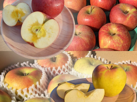 【2023年産予約！数量限定！】ぐんま名月＆サンふじ 食べ比べセット 訳あり 約2.5kg　7-14玉 11月中旬発送開始予定 #YA1CB025