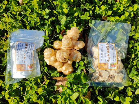 菊芋パウダー 60g×2袋 栽培期間中農薬・化学肥料不使用 クリックポスト