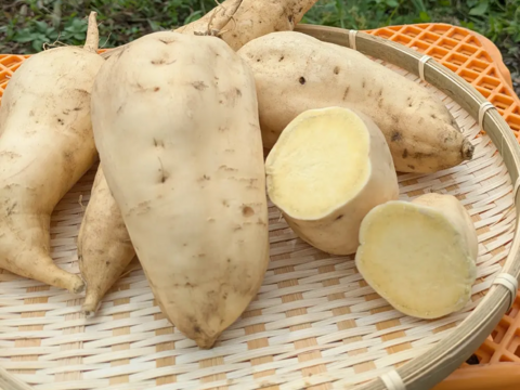 佐之衛門のきみまろこ　約1.9kg