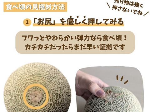 赤肉メロン界の最高峰　マリアージュ
熊本県産クインシーメロン2玉　3kg以上