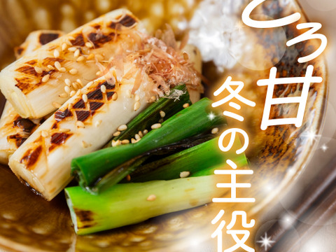 【冬ギフト】とろ甘！泥付きで長持ち！富山県産白ねぎ！焼くだけジューシー、お鍋に主役級の甘さの富山ブランドねぎ！飲食店さん、お裾分けにも大活躍！3Kg(泥付きL•2Lサイズ15〜25本)