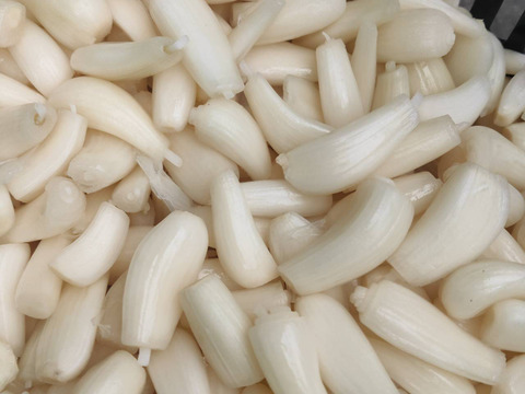 【毎日3粒で、免疫アップ】砂丘育ち 甘酢らっきょう 180 g