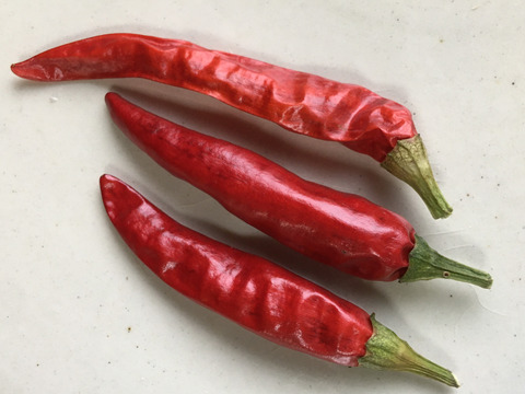 【手作りで楽しい！】３種のハーブを使った自家製ガーリックハーブオイルセット