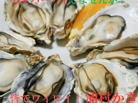 【生牡蠣】【生食用】三重県産 浦村かき カンカン焼き×2缶（1缶あたり 殻付き Mサイズ牡蠣 約40～50個前後、約4キロ入り）
牡蠣 カキ 貝類 海鮮 BBQ 歳暮 熨斗 母の日 父の日【冬ギフト】