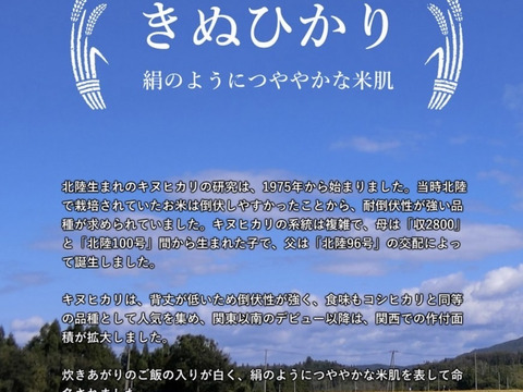 【令和4年度】新米˚✧さっぱりとした口当たり〔キヌヒカリ〕白米 5kg