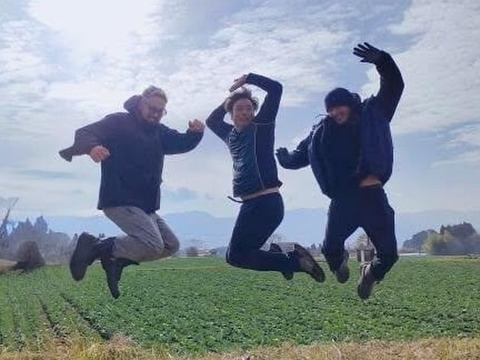 熊本県八代産　朝採おくら　１kg　100本以上