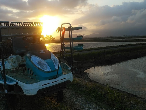 おかずのいらないコシヒカリ「つばめ返し」