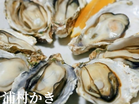 牡蠣好き歓喜の30%増量中！三重県産 殻付き 浦村かき M～Lサイズ 30個入り（約3.3kg前後）（3～6人前）【生牡蠣】【生食用】貝類 海鮮 バーベキューに BBQ お歳暮 母の日ギフト