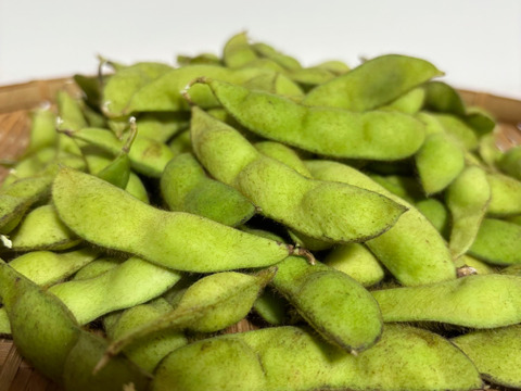 10/15注文最終日！希少・幻の黒枝豆『京白丹波』250g以上×4袋