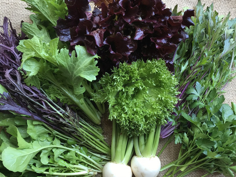 季節の野菜セット(約5~7品)＊Sサイズ