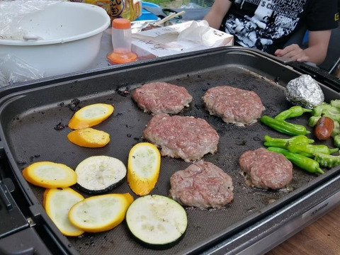 ご家庭で使いやすい！鹿肉ミンチ500g 【ハンバーグ】【餃子】【ジビエ】熨斗対応可
