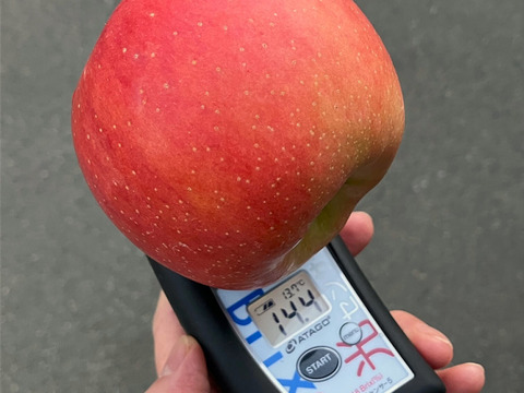 濃厚な甘みのりんご 「こうとく」（B品2㎏）