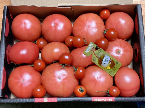 予約1月下旬から予約順で発送【特別栽培農産物の取得】＼訳あり／受賞歴３回！ソムリエトマト2kg前後（8玉～16玉) ②のオマケ❗️ソムリエミニトマト　ダイヤ【食べ比べ】