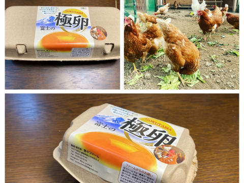 【初回限定BOX】5種類の純国産鶏の卵を食べくらべ　5色30個【富士の極卵】