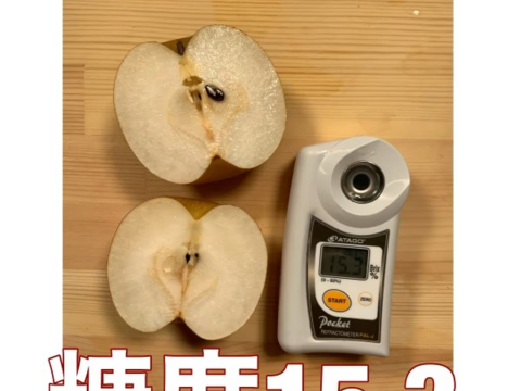 好評につ１５６箱限定！大豊作なのでめっちゃ小さい梨　豊水　3ｋｇ　訳あり