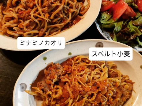 香り豊か！【自然栽培】パン用小麦粉『ミナミノカオリ』（800g）