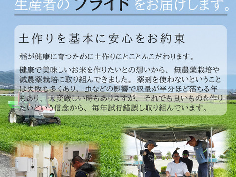 新米予約【R７年産】２年連続お米番付全国２位受賞米!!至高の特別栽培米さがびより玄米５ｋｇ【栽培期間中農薬不使用米】