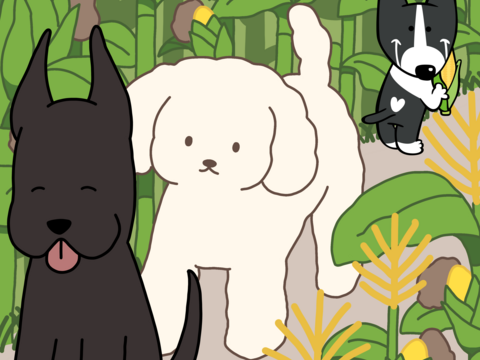 【2025年夏 】 お得です、 ゴールドラッシュLLサイズ9本セット✨