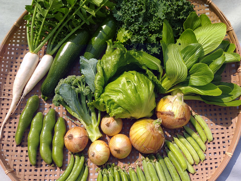 [なゆた農場]スナップエンドウ2品種セット1kg