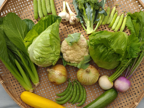 なゆた農場]四季菜セットSサイズ（8袋分）：兵庫県産の野菜