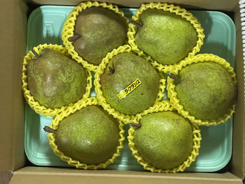 農薬節減!! [特秀]こだわりラフランス 山形県 2kg 6〜7玉 ギフトにも　[冬ギフト]