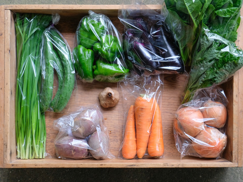 【農薬不使用】夏の高原野菜セット Lサイズ【９～１０品目】