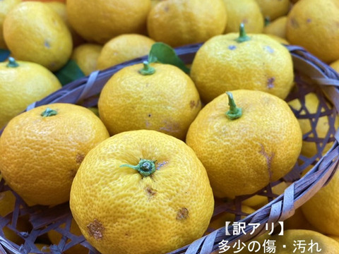 【訳アリ】種なしで果汁たっぷり！柚子（2kg）