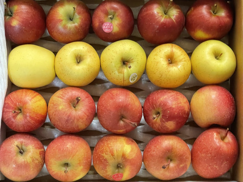 低農薬で皮ごと丸かじり🍎🍏小玉りんご食べ比べ3種詰合せ2.5kg🍎🍏青森県特別栽培認証取得【ご家庭用小玉サイズ】