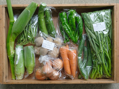 【農薬不使用】夏の高原野菜セット Lサイズ【９～１０品目】
