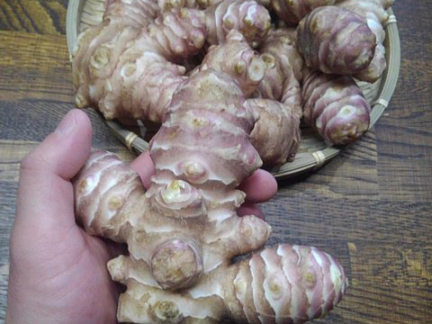 【仮洗浄済み！】イヌリンたっぷり♪香川県産紅キクイモ　3.5kg(きくいも、菊芋)