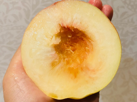 たっぷり家庭用わがままボディ♡もも♡山形県産あかつき♡