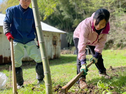 【2026年産】旬の天然タケノコ2kg（富山県氷見産 / ふるさと納税可）/ 栽培期間中、農薬・化学肥料・除草剤不使用［朝掘り採れたて発送］