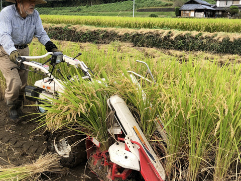令和7年菊池米食味コンクール第3位受賞　農薬・化学肥料成分を気にしなくてよい、「菊池掛け干し清流米」玄米　５ｋｇ