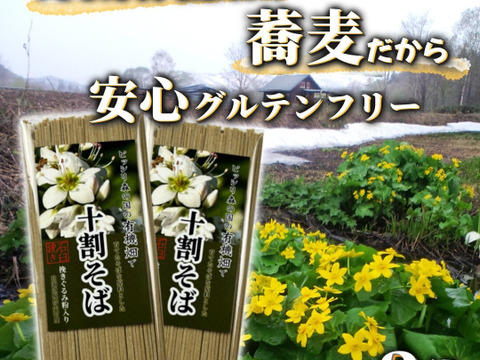 【グルテンフリー】有機畑で育てたそばを原料とした十割そば　石臼挽き×２パック