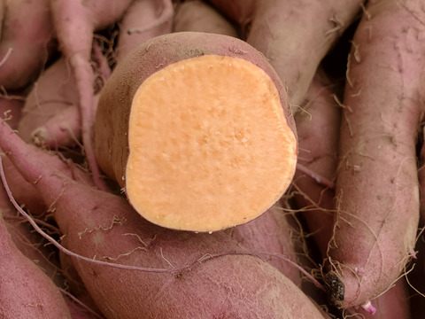 調理サイズ2.5kg/箱詰/土付　ハロウィンスイート