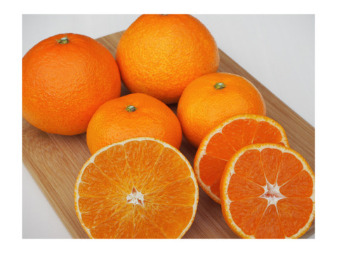 まどんな家庭用2.5キロ＋良品みかん3キロ　※1月6日から順次発送開始