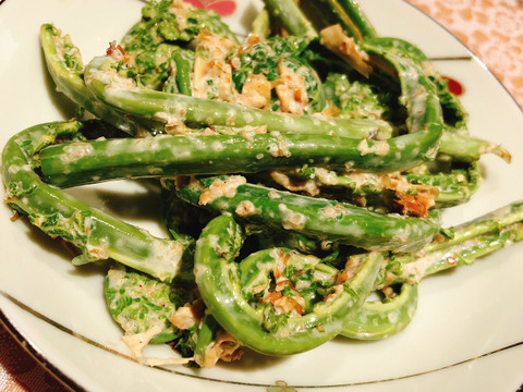 春の山菜　天然こごみ　500g