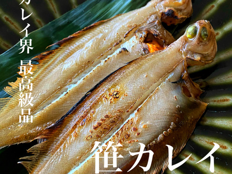 【カレイ界の最高級品】笹カレイ(ヤナギムシカレイ)の干物2P(4-6尾入り)