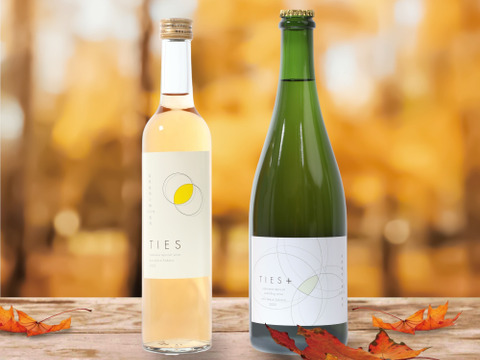 新定番！料理がおいしい梅ワイン　自然栽培の梅100%使用(無添加)
Japanese apricot sparkling wine 'TIES+' 750ml　4本セット