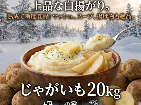 《フライドポテトやポテサラに抜群！》愛され食され40年『雪夏稚くん』のヘルシーポテトver. 20kg