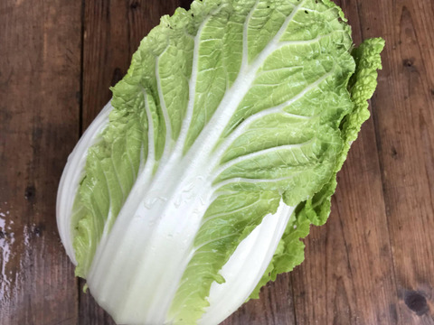 【食べ比べ】京の冬野菜セット2026【漢方栽培】